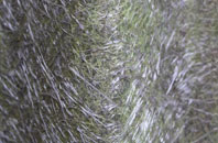 Hindolveston fibreglass roof work